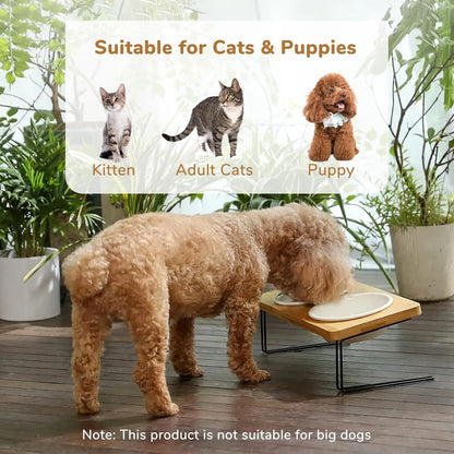 Elevated Cat Ceramic Bowls,15° Tilted & Raised Food Feeding Dishes, Solid Bamboo Water Stand & Feeder Set for Cats and Puppies