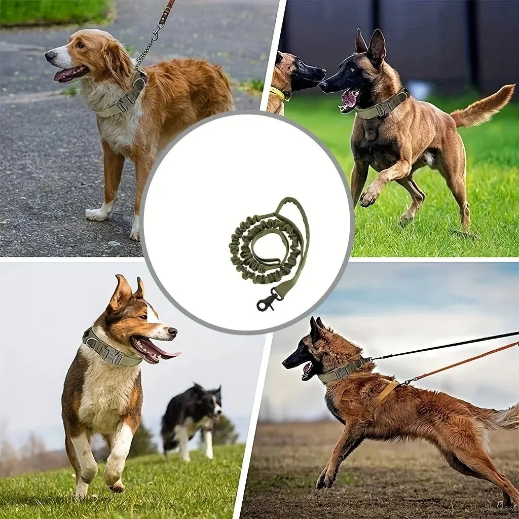 Pet Traction Rope. Tactical Dog Leash. Outdoor Training. Large Dogs, Retractable