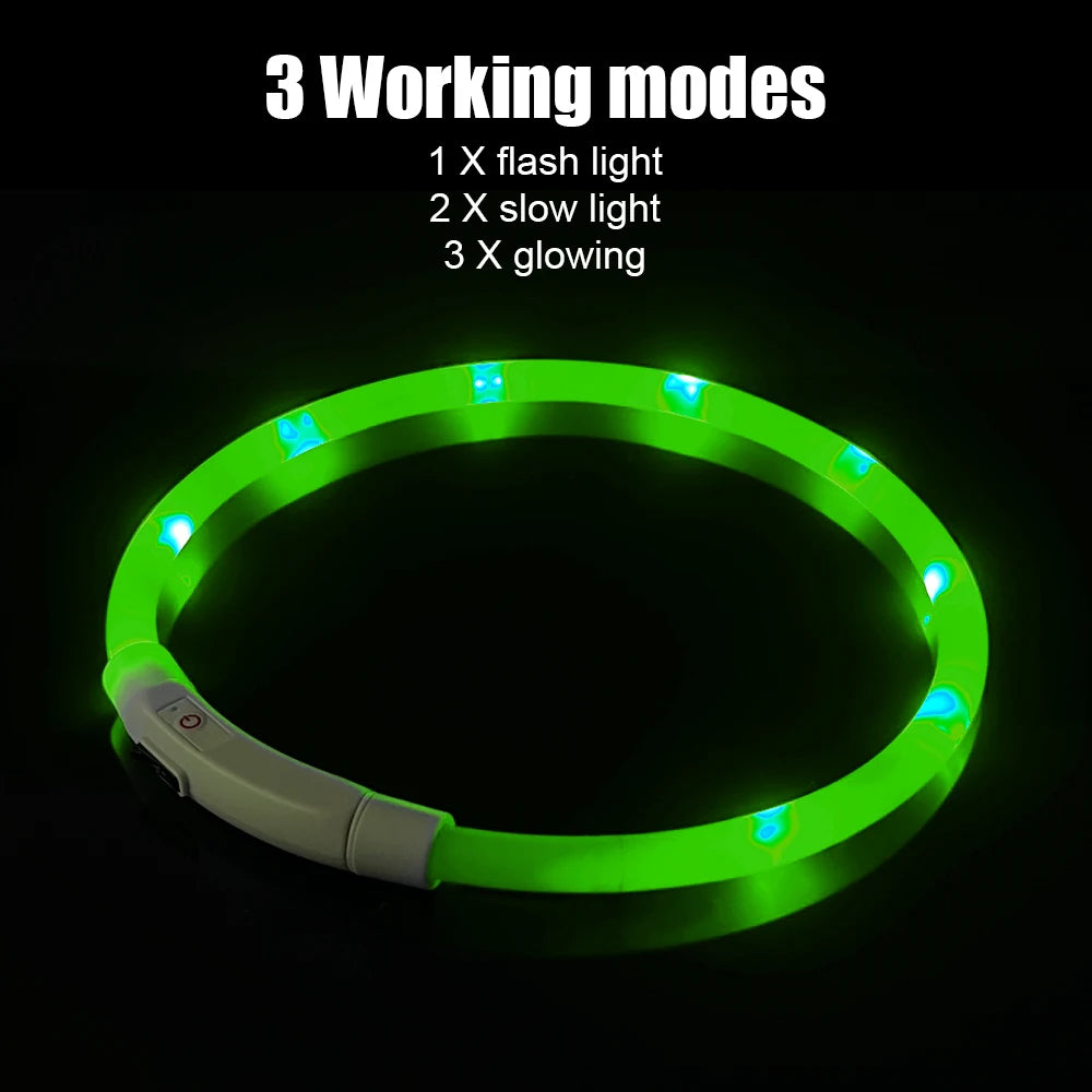 Dog Loss Prevention Led/Usb Dog Collar. Pet Accessories. Night Safety, Flashing Glow  Collar. Night Luminous Charge Collar