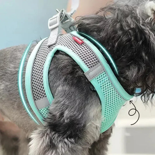 Puppy Harness Set. Adjustable Puppy and Cat Harness Vest. Small Dog Collar Pet Leash