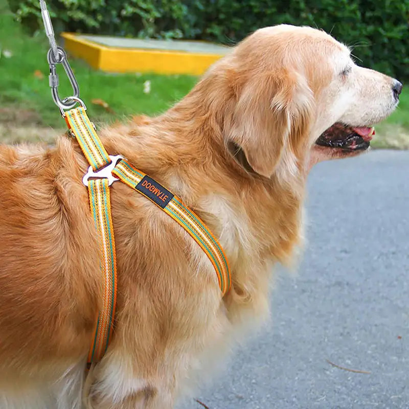 Double-headed Dog Tie. Outside Cable Leash , traction rope with metal buckle, steel wire anti-rust training collar,Outdoor Dogs Strap