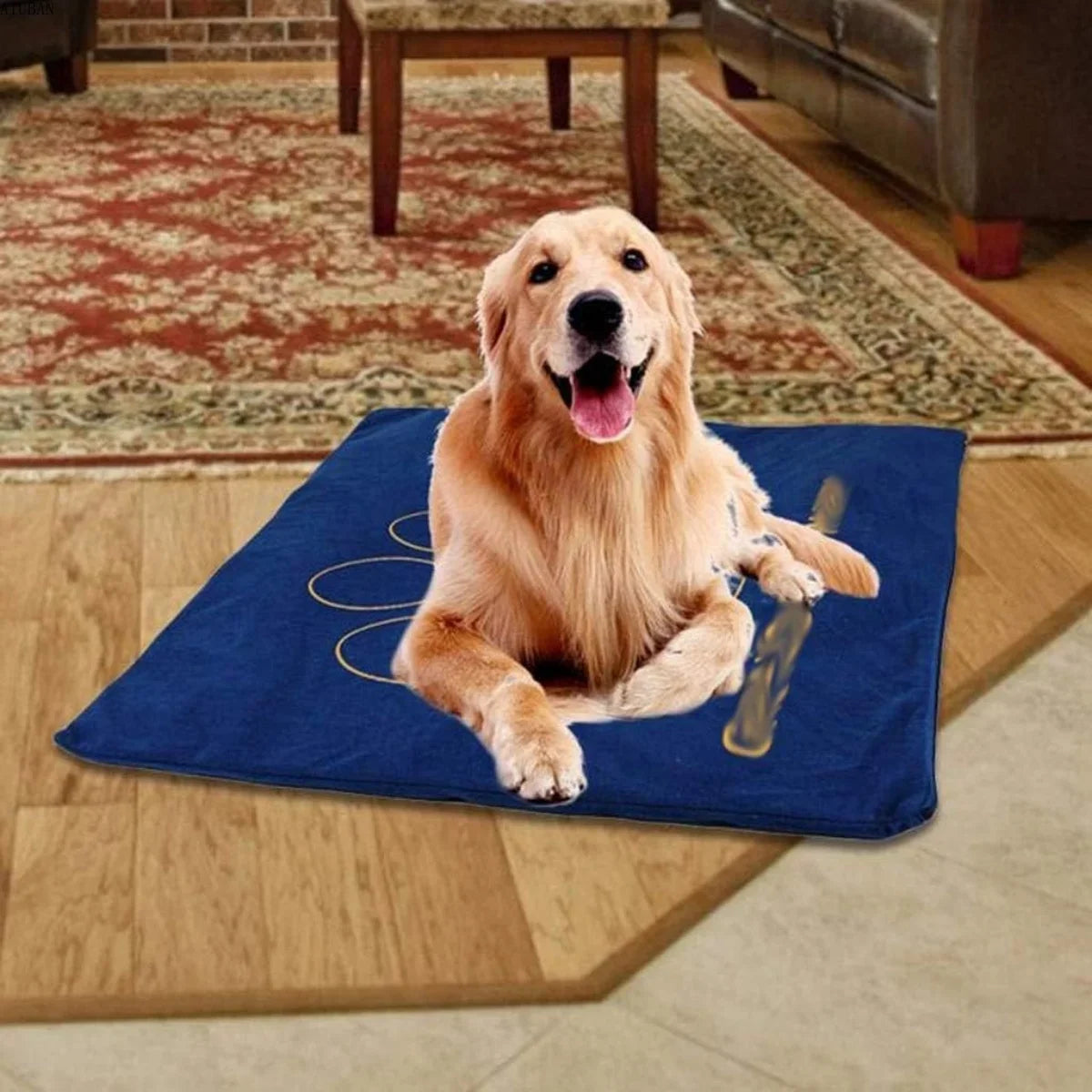 PET Dog Heating Pad, Indoor Pet Heating Pads for Cats/Dogs with Chew Resistant Cord, Long-Time Working Electric Pet Heated Mat