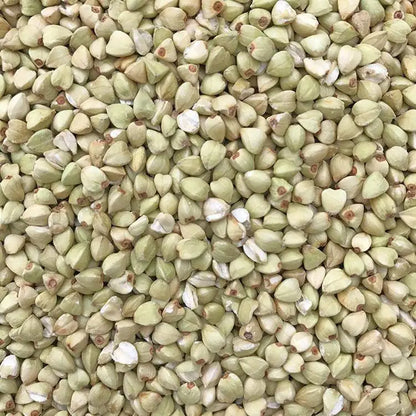 Premium Pet Parrot Bird Seed & Pigeon Food. Selective Wild Bird Supplies.