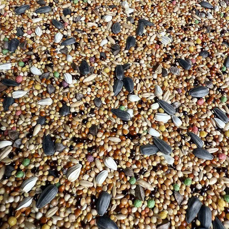 Premium Pet Parrot Bird Seed & Pigeon Food. Selective Wild Bird Supplies.