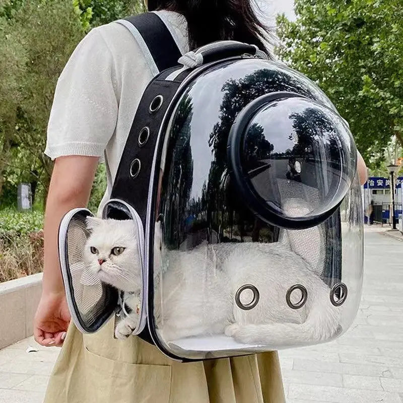 Pet Cat Carrying Bag. Pet Backpacks. Breathable, Portable & Transparent Backpack for Cats and  Puppies Transport .Carrier Space Capsule Bags