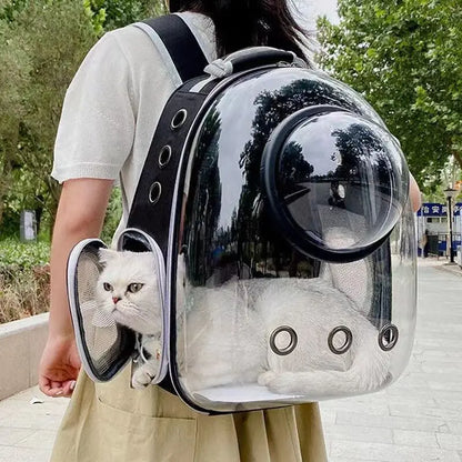Pet Cat Carrying Bag. Pet Backpacks. Breathable, Portable & Transparent Backpack for Cats and  Puppies Transport .Carrier Space Capsule Bags