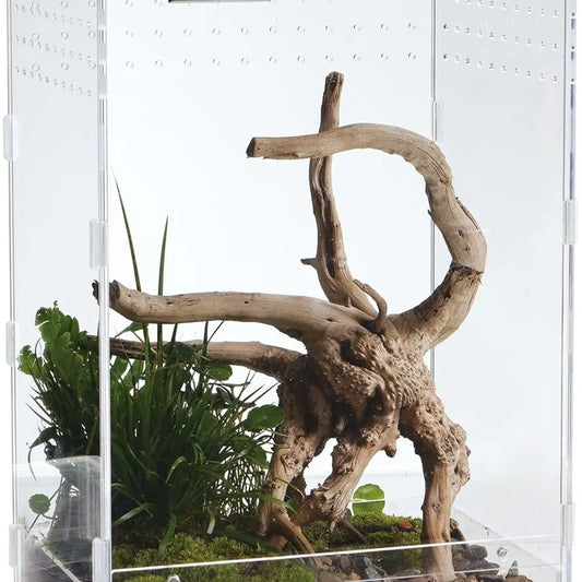 Acrylic Clear Reptile Habitat Enclosure Terrarium with Latch ，Perfect for Amphibians and Invertebrates Such as Spiders, Frogs, e