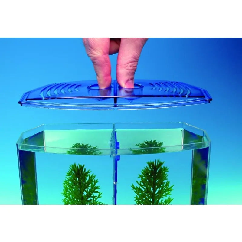A fish tank suitable for families, with a lid and a partition inside. Suitable for raising small and medium-sized fish