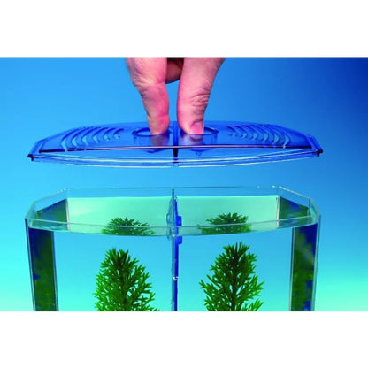 A fish tank suitable for families, with a lid and a partition inside. Suitable for raising small and medium-sized fish