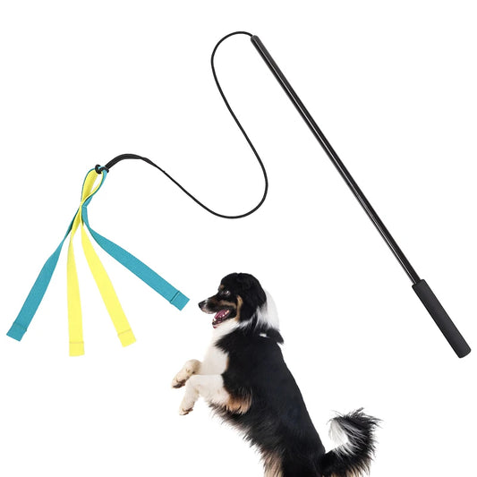 Pet Dog Interactive Flirt Pole Toys. Durable, Detachable Toy. Outdoor Activities, Dog Training Toys.