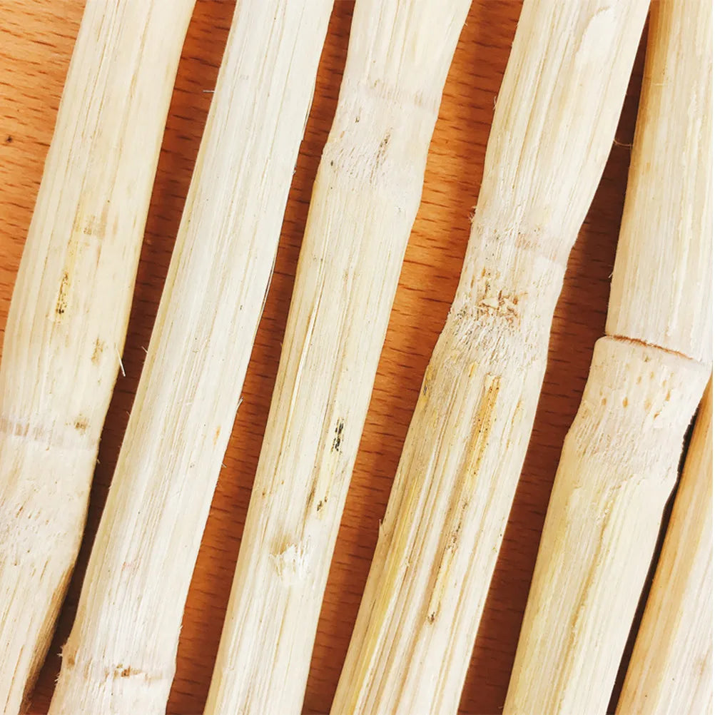 500G Bamboo Cane Based Chew Stick for Pet Teeth. Flavored Small Animal Grinding Snack for Bunny, Hampster & Chinchilla Enrichment