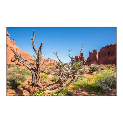 Decoration  Aquarium Background Poster Desert Landscape. Self Adhesive Fish Tank Backing
