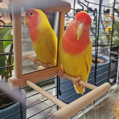 Bird Mirror Wooden Interactive Play Toy. With Perch For Small Parrot, Budgies, Parakeet, Cockatiel, Conure and Lovebird Cage Accessories