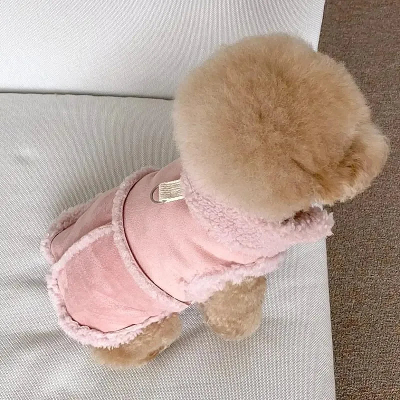 Chihuahua Apparel/Clothes. Dog Pet Sweatshirt.