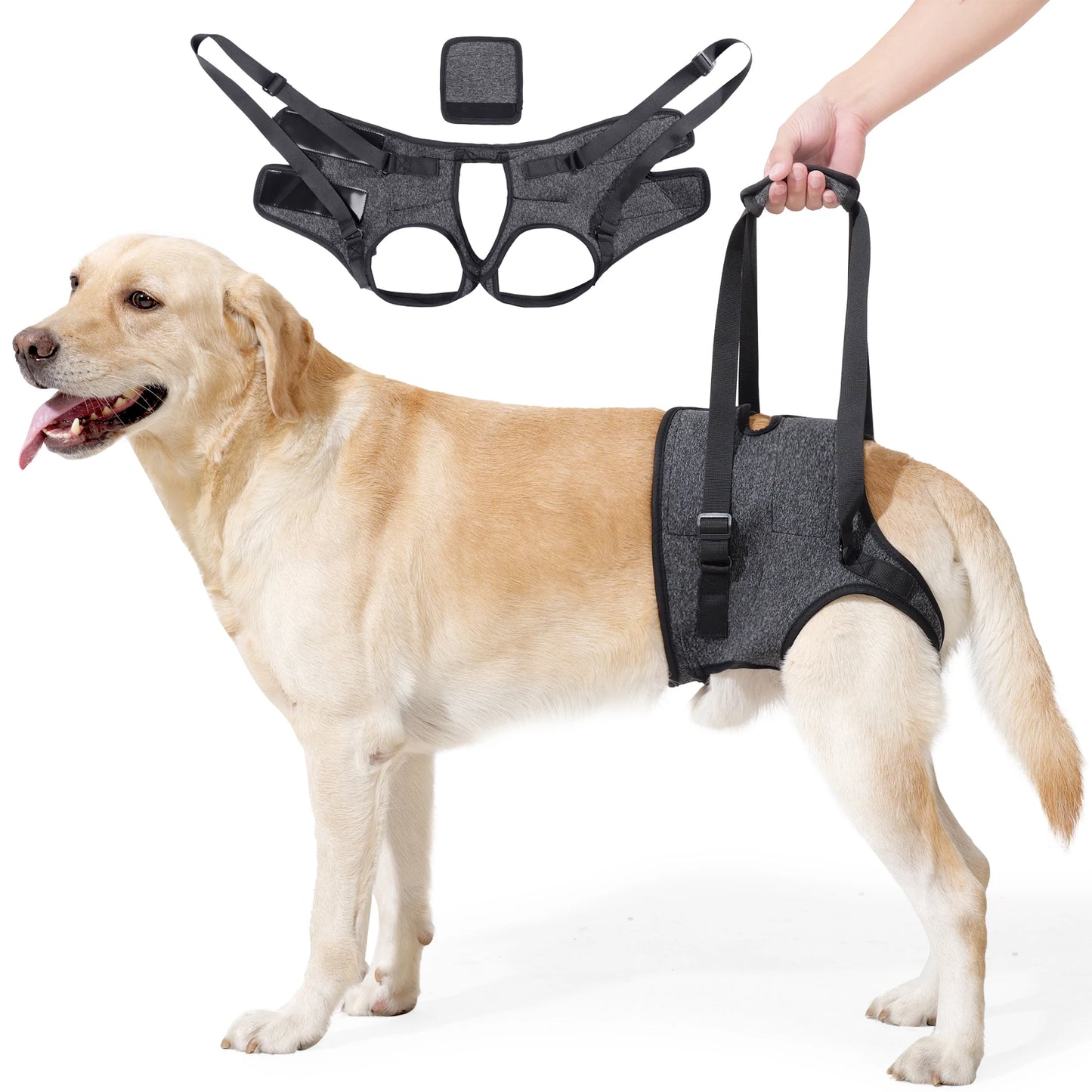 Dog Sling for Large Dogs. Hind Leg Support to Help Rehabilitate The Hind Limbs of Elderly Dogs with Weak Hind Legs & Disabilities