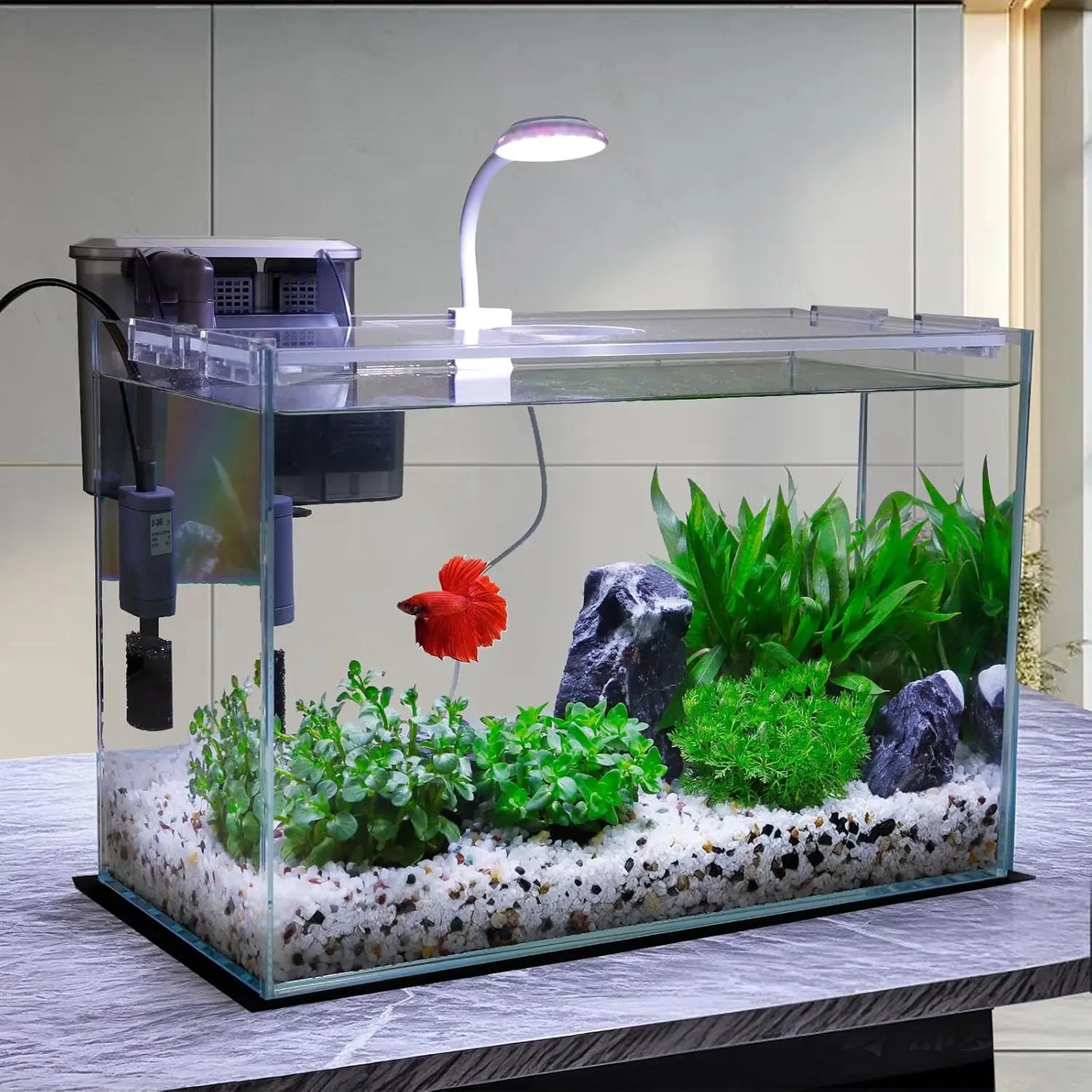 5 Gallon Glass Aquarium Kit with Filter, Light & Lid - Perfect Betta Fish Tank Starter Set