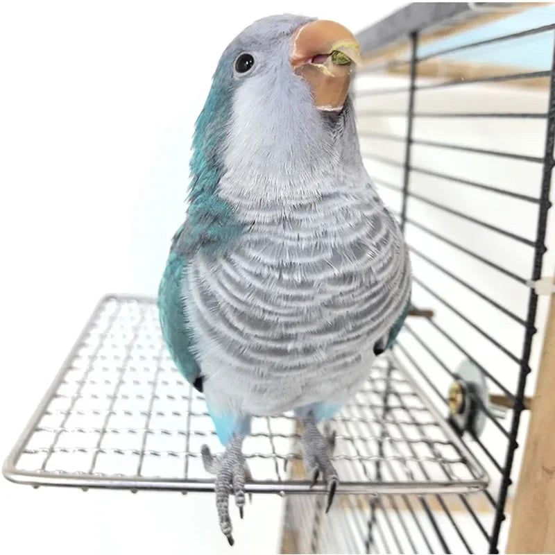Stainless Steel, Raw Wood Fork Tree Branch/ Stand Rack. Squirrel, Bird & Hamster Branch/ Perches. Chew Bite Toys Stick