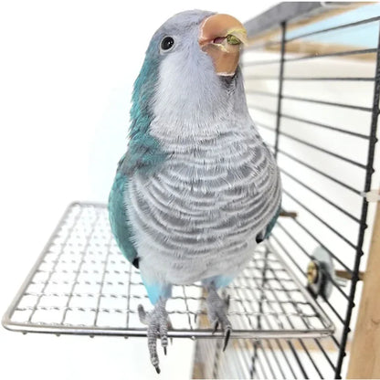 Stainless Steel, Raw Wood Fork Tree Branch/ Stand Rack. Squirrel, Bird & Hamster Branch/ Perches. Chew Bite Toys Stick