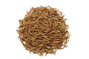 Fish Food Dried Mealworms. 100%Pure Natural Bulk. Wholesale Birds/ Fish. Small Pet Food