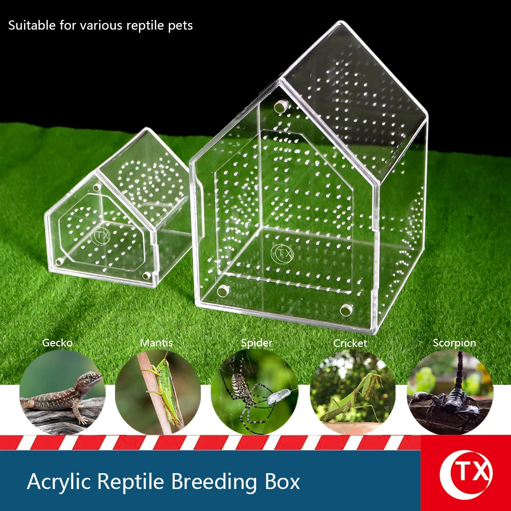 House-Shaped Acrylic Reptile Breeding Box. Transparent Pet Habitat for Spiders, Lizards & Insects. Magnetic Door & Breathable