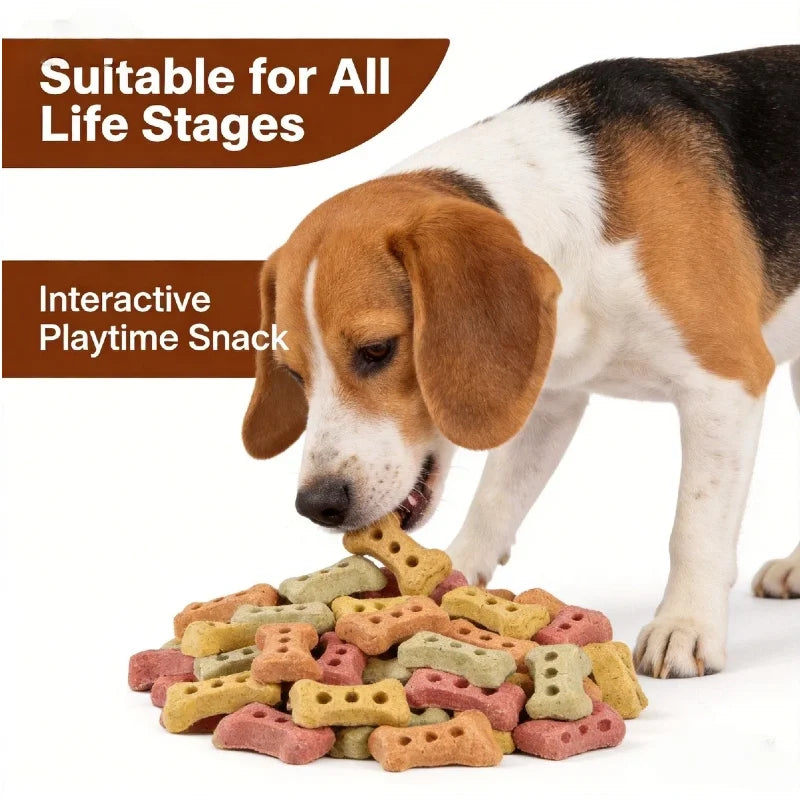 Bone-Shaped Biscuit Treats 240g. Crunchy, Delicious Biscuit Treats. Snack for Dogs.
