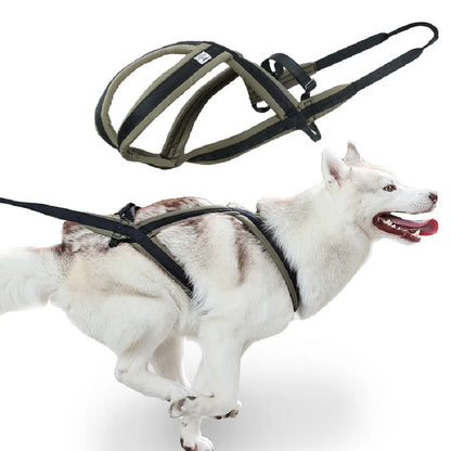 Outdoor Dog Harness and Leash Set for Medium and Large Dogs, Suitable for Walking and Sledding