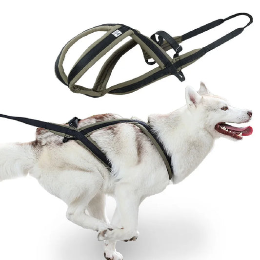 Outdoor Dog Harness and Leash Set for Medium and Large Dogs, Suitable for Walking and Sledding