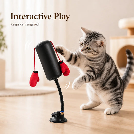 Cat Boxing Toy - Multi-functional Cat Stimulation  for Self-Entertainment and Relaxation - Interactive Cat Toy