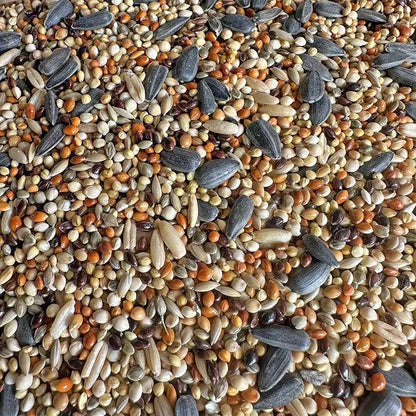 Premium Pet Parrot Bird Seed & Pigeon Food. Selective Wild Bird Supplies.