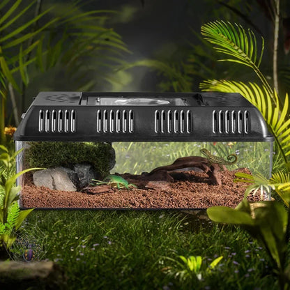 Outdoor Reptile Pet Breeding Box. Crawling Pet Feeding Box. Lizard, Silkworm, Scorpion, Beetles. Insect Box Pet House, Acrylic Cage