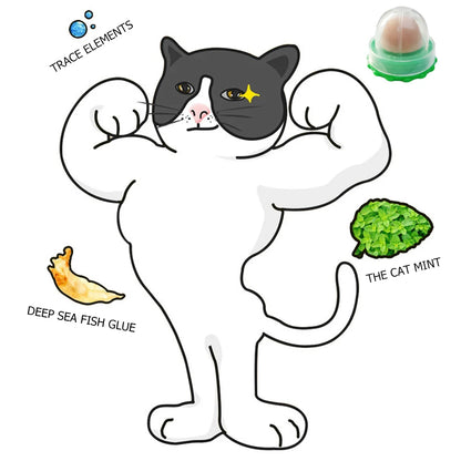 5/10Pcs Catnip Wall Ball. Cat Nip Treats. Lickable Pet Catnip. Candy Ball for Help with Digestion