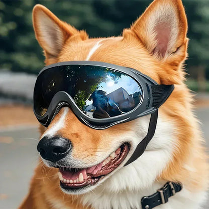 Pet Goggles, Adjustable, Anti UV Glare, Windproof Sunglasses for Dogs. Outdoor Hiking, Running, Beach. All Breeds Eye Protection, Black