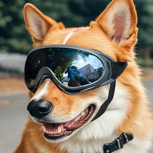 Pet Goggles, Adjustable, Anti UV Glare, Windproof Sunglasses for Dogs. Outdoor Hiking, Running, Beach. All Breeds Eye Protection, Black