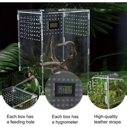 Acrylic Clear Reptile Habitat Enclosure Terrarium with Latch ，Perfect for Amphibians and Invertebrates Such as Spiders, Frogs, e