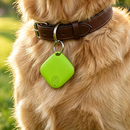 Pet Tracker Device for Cats And Dogs. Anti-Lost Tracking Locator for Small And Large Breeds with GPS