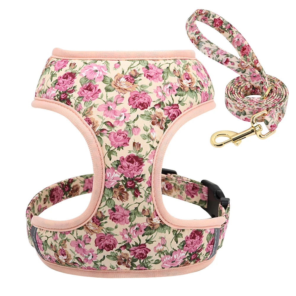 Cute Printed Dog Harness Leash Set. Soft Mesh Puppy or Cat Harness. Adjustable Walking Lead For Small & Medium Dogs & Cats