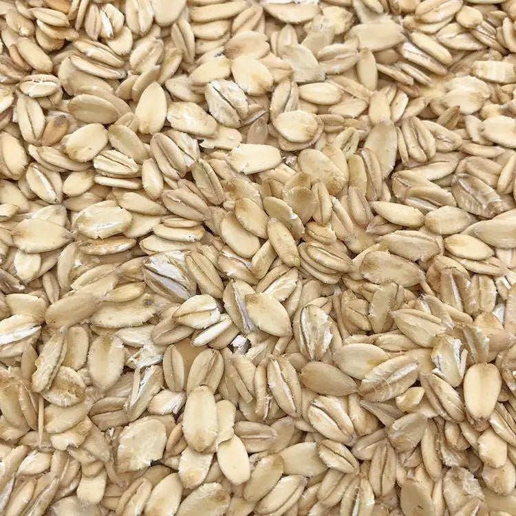 Premium Pet Parrot Bird Seed & Pigeon Food. Selective Wild Bird Supplies.