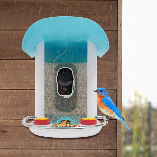 Smart Bird Feeder with Camera, Bird House for Outside, Bird Auto Capture with Solar Panel. Can Attract Sparrows, Hummingbirds