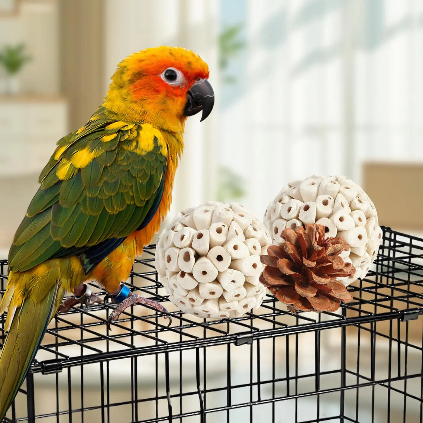 Bird Toys. Parrot Natural Bird Foraging Box. Foot Toys for Parakeets, Cockatiels, Conures, Love Birds and Other Small to Medium Birds