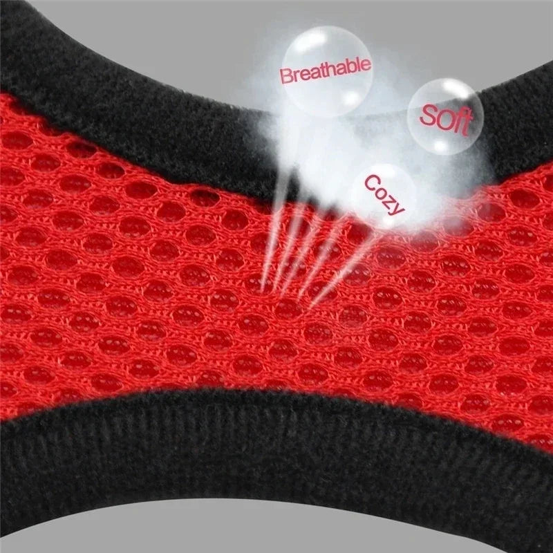 Cat Harness Vest. Walking Lead Leash For Puppies & Cats. Collar Polyester. Adjustable Mesh Harness For Small Medium Pets