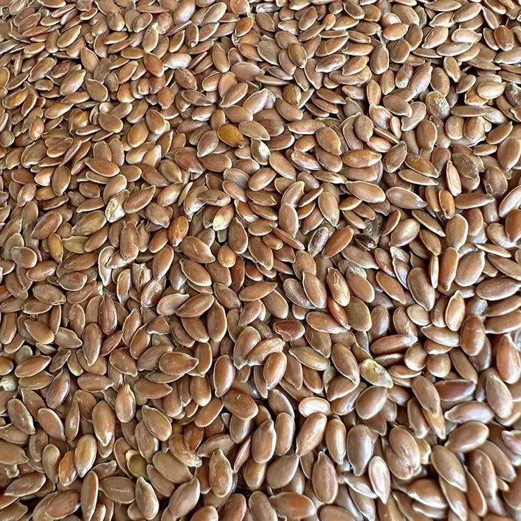 Premium Pet Parrot Bird Seed & Pigeon Food. Selective Wild Bird Supplies.