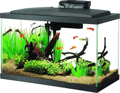 10 Gallon Fish Tank Starter Kit with LED Light, Filter, Heater & Accessories for Beginners