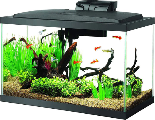 10 Gallon Fish Tank Starter Kit with LED Light, Filter, Heater & Accessories for Beginners
