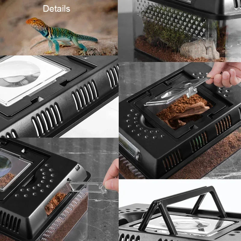 Outdoor Reptile Pet Breeding Box. Crawling Pet Feeding Box. Lizard, Silkworm, Scorpion, Beetles. Insect Box Pet House, Acrylic Cage