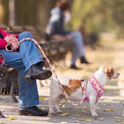 Cute Printed Dog Harness Leash Set. Soft Mesh Puppy or Cat Harness. Adjustable Walking Lead For Small & Medium Dogs & Cats
