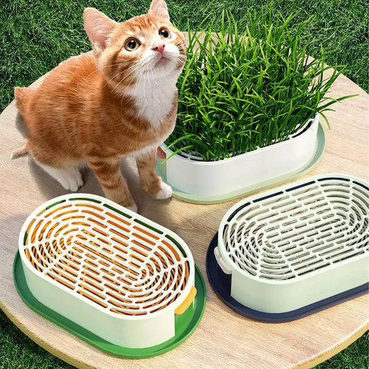 Cat grass growing box. Hydroponic Soilless Cat Grass Planting Set.