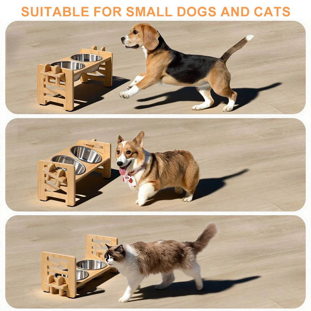 Elevated Small Dog Cat Bowls. Tilted, Adjustable Feeder Stand with 2 Stainless Steel Bowls for Puppies & Cats