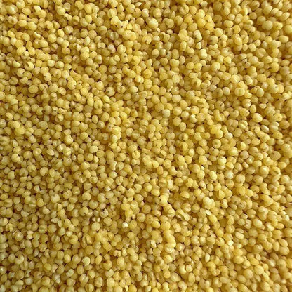Premium Pet Parrot Bird Seed & Pigeon Food. Selective Wild Bird Supplies.