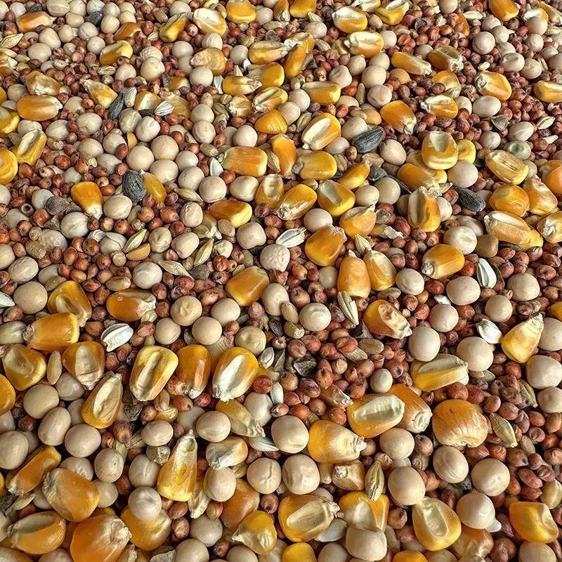 Premium Pet Parrot Bird Seed & Pigeon Food. Selective Wild Bird Supplies.
