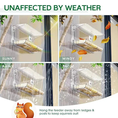 Window Mounted Feeder with Strong Suction Cups. Transparent, Acrylic, Hanging Birdhouse Feeder for Outside Garden Yard